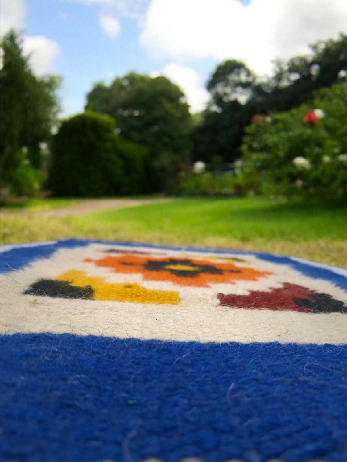 Sunset Harmony: The Vibrant Accent Rug